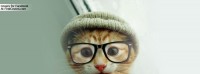 KittieTweet Blog6